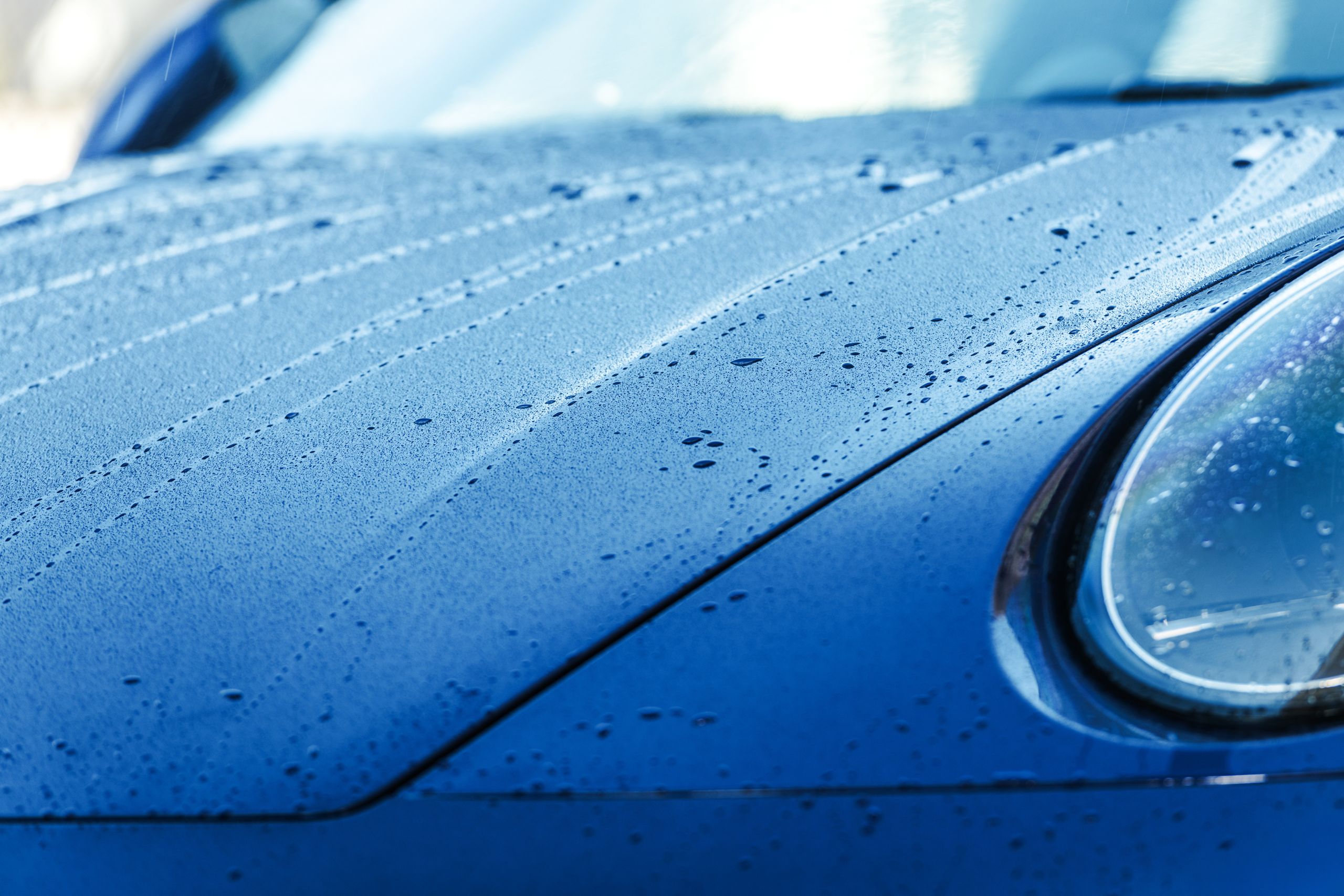 paint protection